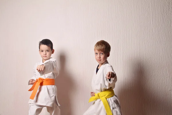 Niños durante el entrenamiento de karate. Artes marciales. Deporte, concepto de estilo de vida activo — Foto de Stock