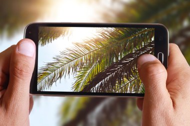 Erkek el palm fotoğraf çekici ağaçlar mavi gökyüzü karşı cep, cep telefonu ile yaprakları.