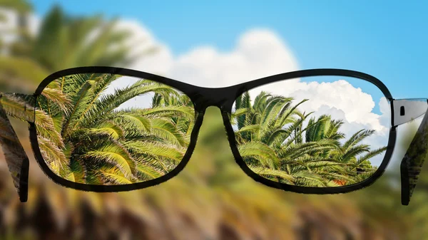 Ponga las gafas para la diferente, mejor vista. Mirando las palmas, las nubes y el cielo . — Foto de Stock