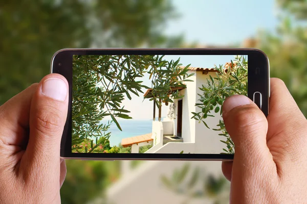 男手拍照田园诗般的希腊房子，别墅，在海边，之间用电池，手机的橄榄树。希腊度假. 免版税图库照片