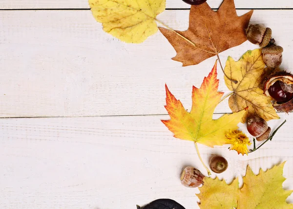 Hojas amarillas de otoño sobre fondo rústico blanco. Fondos de pantalla de temporada — Foto de Stock