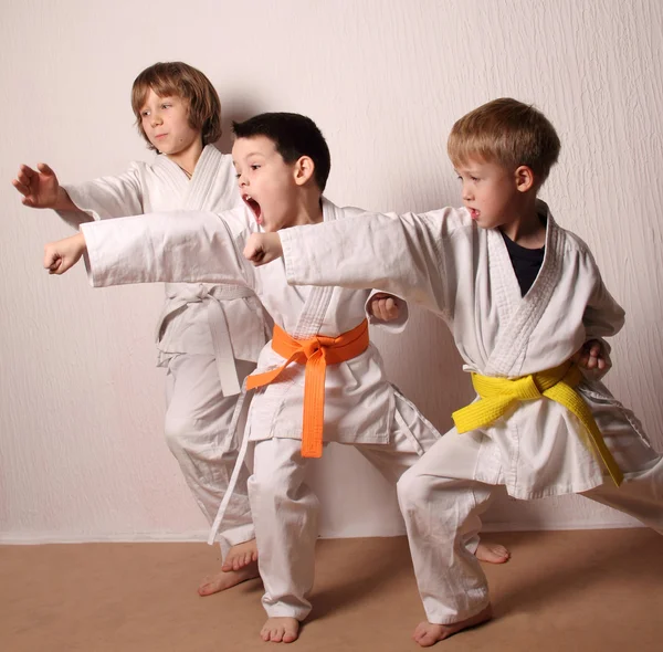 Niños durante el entrenamiento de karate. Artes marciales. Deporte, concepto de estilo de vida activo — Foto de Stock