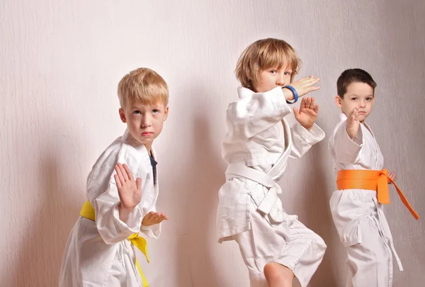 Kinderen tijdens karate opleiding. Martial arts. Sport, actieve levensstijl concept — Stockfoto