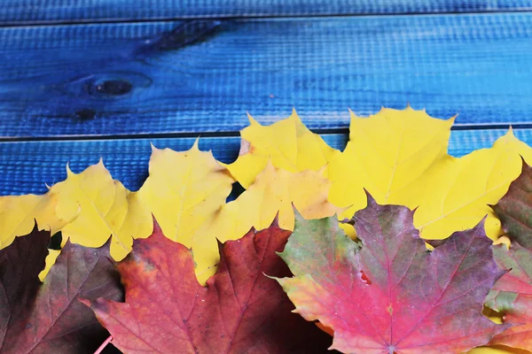 Żółte i czerwone autumn listowie na niebieskim tle rustykalnym. Sezon tapeta — Zdjęcie stockowe