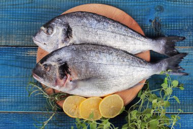Taze çiğ dorado balık limon ve otlar mavi ahşap zemin üzerine dekore edilmiştir. Sağlıklı gıda kavramı