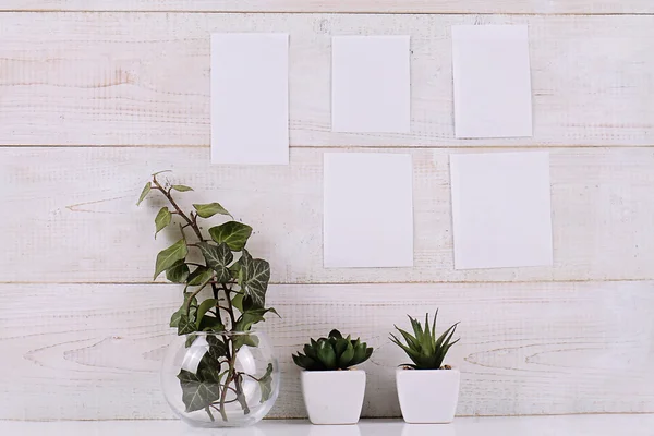 Stemming bord met lege lege stukken papier op de witte muur en ingemaakte vetplanten. Scandinavisch interieur design, hipster stijl. Afbeelding van de ruimte kopiëren — Stockfoto