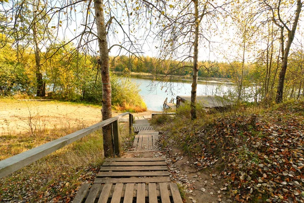 Sonbaharda göle bakan tahta köprü. — Stok fotoğraf