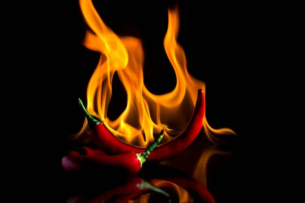 Pimenta vermelha em fogo com reflexão Imagem De Stock