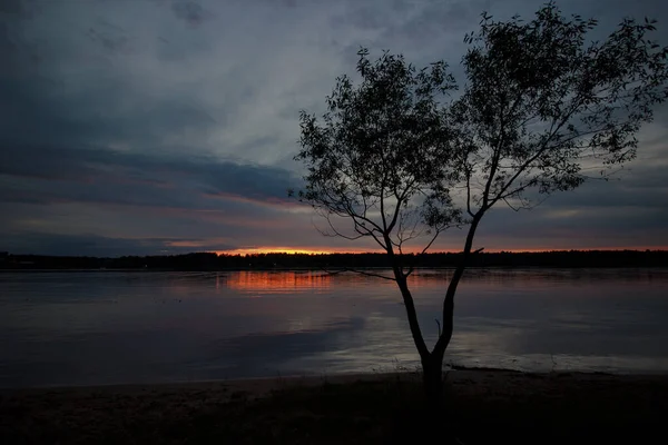 Árbol en la orilla del río sobre el fondo del atardecer — Foto de Stock