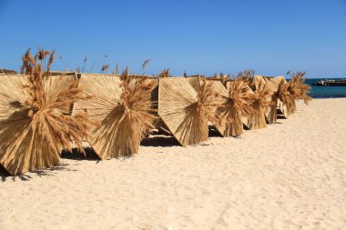 Sahildeki kumsalda güneş şemsiyeleri