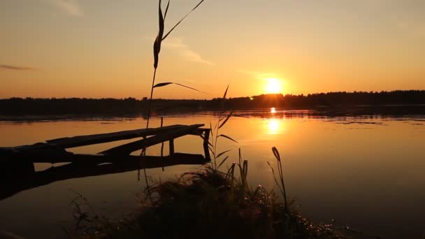 Puente y hierba en el río al atardecer — Vídeo de stock