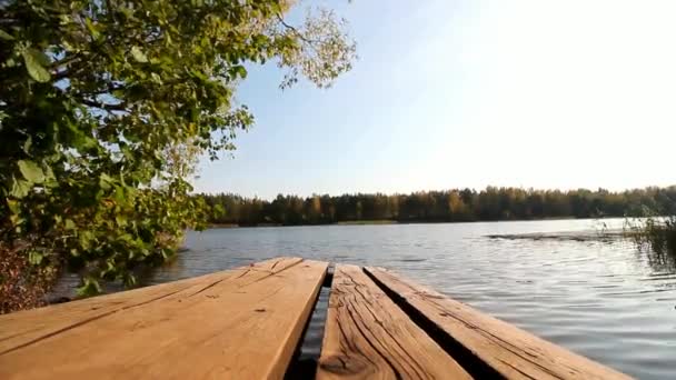 Pasarela de madera junto a un árbol junto al lago en otoño — Vídeo de stock