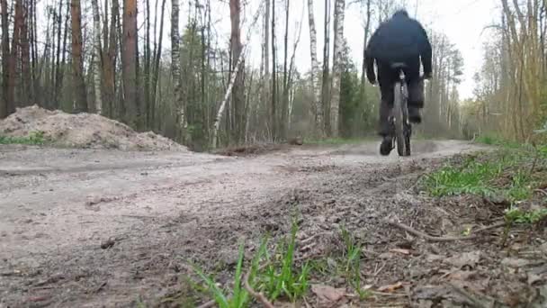 Ciclismo en el bosque en un camino de tierra — Vídeos de Stock