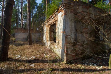 Ormanda terk edilmiş bir bina çalılarla kaplanmış.