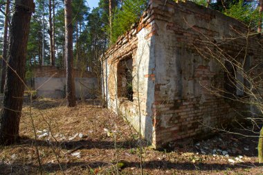 Ormanda terk edilmiş bir bina çalılarla kaplanmış.