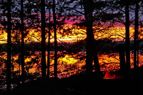 Puesta de sol brillante entre los árboles junto al río — Foto de Stock