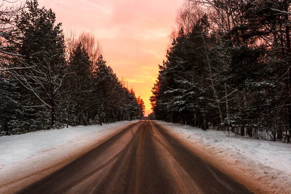 Estrada de inverno na floresta contra o pôr do sol Imagens Royalty-Free