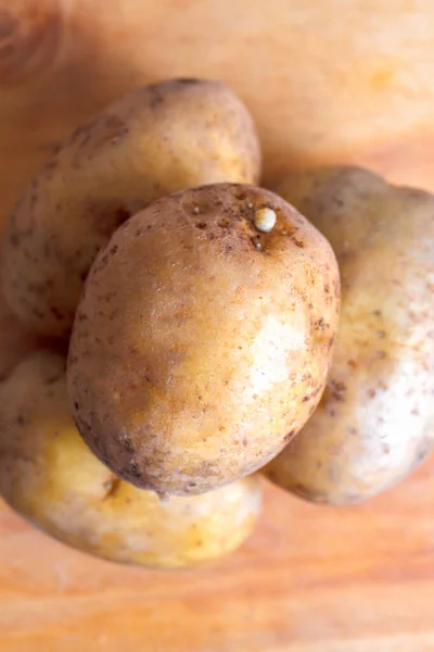 Junge frische Bio-Kartoffeln mit Erde geerntet — Stockfoto
