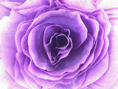 Oda dekorasyonu için mor buruşuk kağıt çiçek. Geçmişi. Şenlik dekorasyonu. Doku.