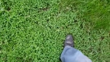 Ağır çekim. Kırıntılar içinde bacaklar yeşil çimlerde yürüyor.