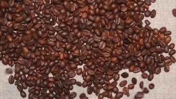 Sakta i backarna. Kaffebönor som faller på bordet — Stockvideo