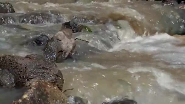 Movimento lento. Fluxo de água através de rochas e corredeiras — Vídeo de Stock