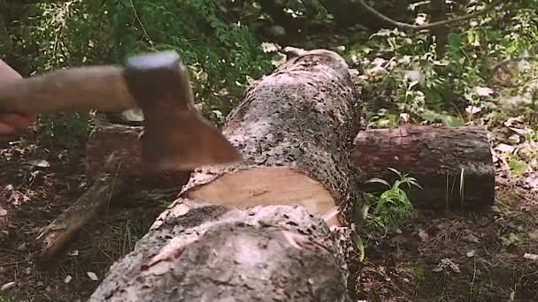 Movimento lento. O machado corta a árvore. construção — Vídeo de Stock