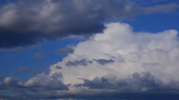 El tiempo pasa. Nubes volando por el cielo en un día de verano — Vídeo de stock