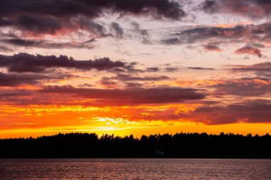 Bir yaz akşamı, ormanın yukarısındaki nehirde gün batımı.