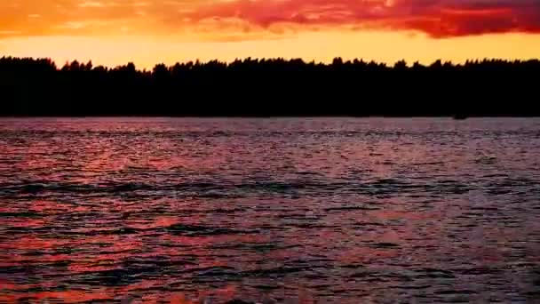 Puesta de sol en el río sobre el bosque en una noche de verano. Pinturas. Color. — Vídeos de Stock