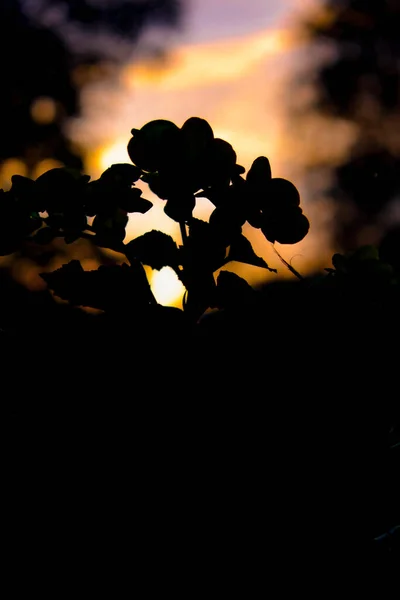 Obrys barev na pozadí západu slunce. Barvy. Pozadí. Abstrakce — Stock fotografie