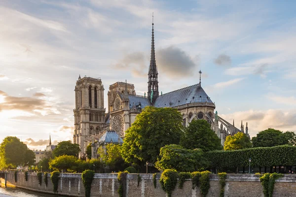 Katedrali notre Dame de paris, Fransa