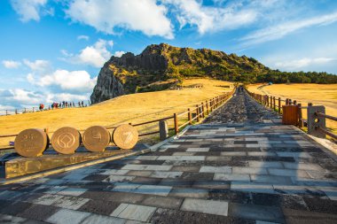 Görünümünü Seongsan Ilchulbong dağ Jeju Adası, Güney Kore