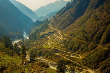 Chopta vadisinde Kuzey: Sikkim, India