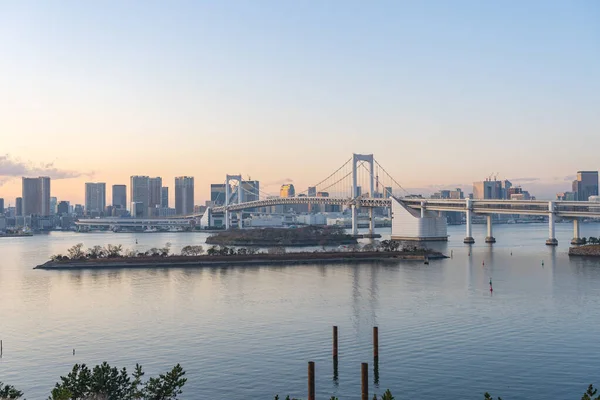 Tokio Stadsgezicht Skyline Met Uitzicht Tokio Bay Japan — Stockfoto