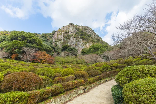 สวนมิฟุเนะยามะ ราคุเอ็น ในซากะ ทางเหนือของคิวชู ประเทศญี่ปุ่น — ภาพถ่ายสต็อก