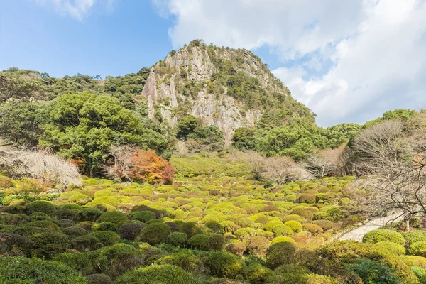 สวนมิฟุเนะยามะ ราคุเอ็น ในซากะ ทางเหนือของคิวชู ประเทศญี่ปุ่น — ภาพถ่ายสต็อก