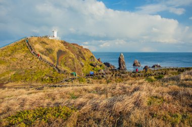 Seopjikoji Dağı Jeju Adası, Güney Kore