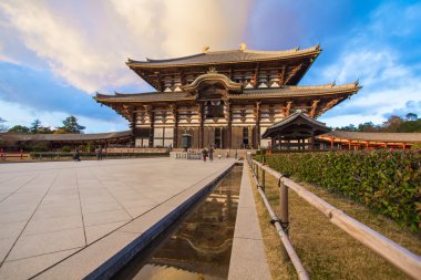 Todaiji Tapınağı nara, Japonya