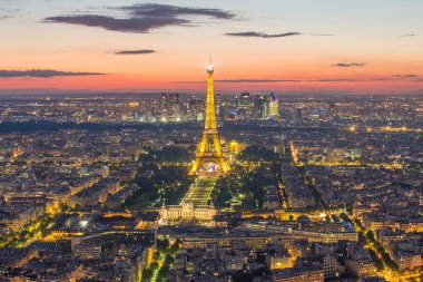 Paris skyline at night in France