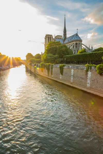 A naplementét a székesegyház a Notre Dame, Párizs, Franciaország — Stock Fotó