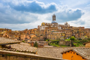 Siena cityscape Güney Toskana, İtalya