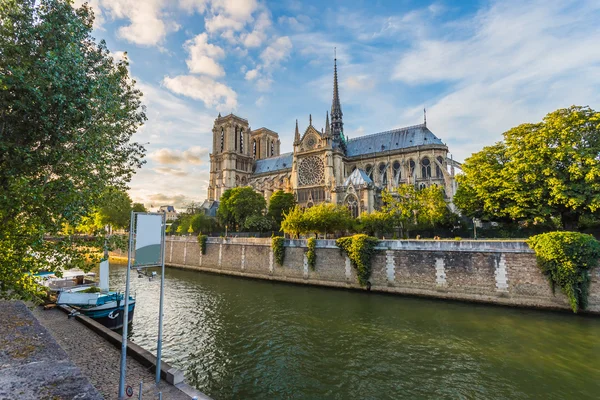 A katedrális, a Notre Dame, Párizs, Franciaország — Stock Fotó
