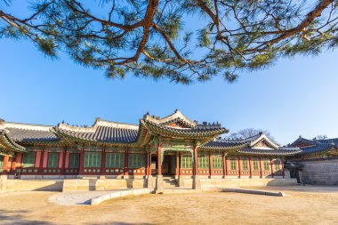 Alace Palace Seoul, Güney Kore