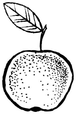 Apple kroki el çizmek