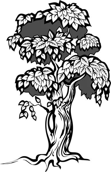 Ilustrace stromu — Stockový vektor