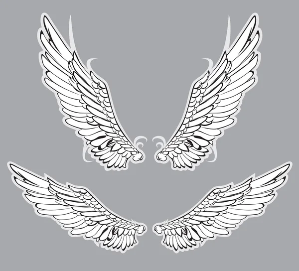 Conjunto de alas — Vector de stock