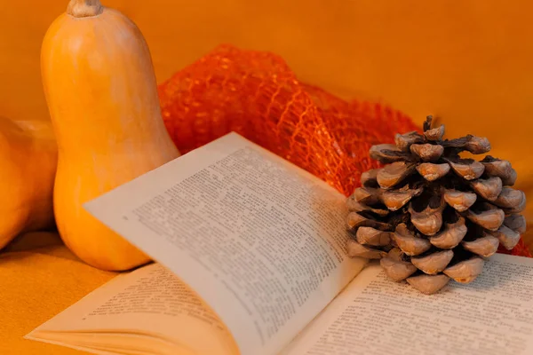 Осенняя планировка с тыквами, книгой и шишкой на оранжевом фоне — стоковое фото