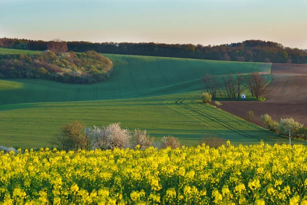 Mährische Toskana in der Tschechischen Republik — Stockfoto