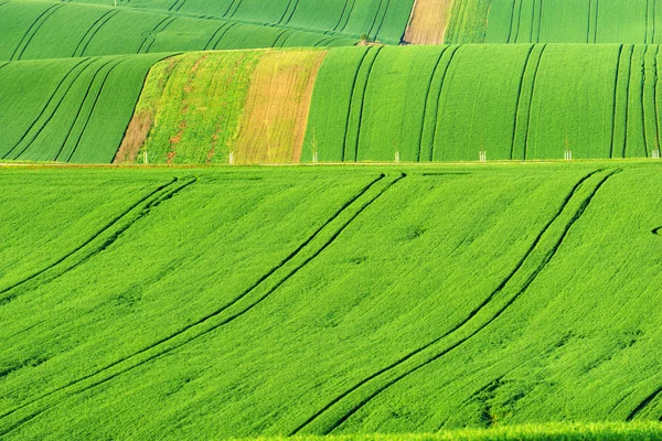 Toscane morave en République tchèque — Photo